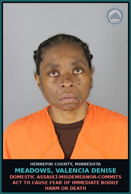 CCW arrest card for MEADOWS, VALENCIA DENISE in Hennepin County: DOMESTIC ABUSE - VIOLATE ORDER FOR PROTECTION-MISDEMEANOR