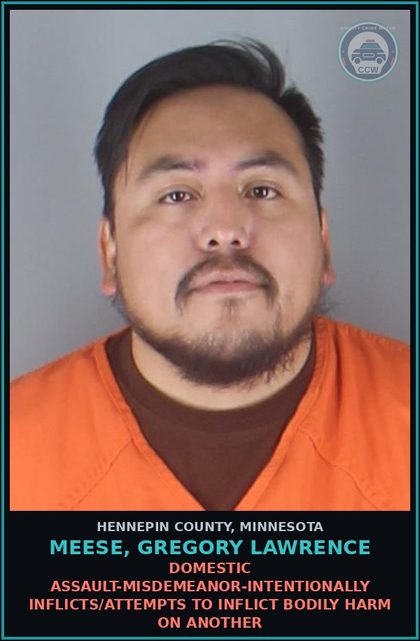 CCW arrest card for MEESE, GREGORY LAWRENCE in Hennepin County: DOMESTIC ASSAULT-MISDEMEANOR-INTENTIONALLY INFLICTS/ATTEMPTS TO INFLICT BODILY HARM ON ANOTHER