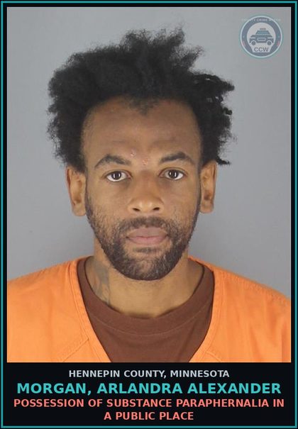 CCW arrest card for MORGAN, ARLANDRA ALEXANDER in Hennepin County: THEFT-TAKE/USE/TRANSFER MOVABLE PROP-NO CONSENT