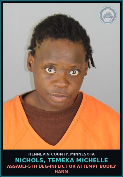 CCW arrest card for NICHOLS, TEMEKA MICHELLE in Hennepin County: ASSAULT-5TH DEG-INFLICT OR ATTEMPT BODILY HARM