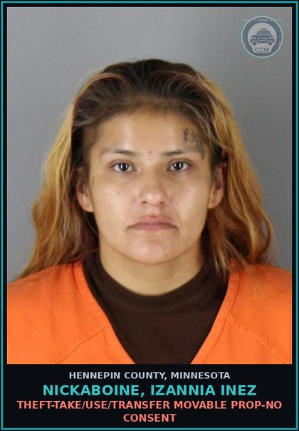 CCW arrest card for NICKABOINE, IZANNIA INEZ in Hennepin County: THEFT-TAKE/USE/TRANSFER MOVABLE PROP-NO CONSENT