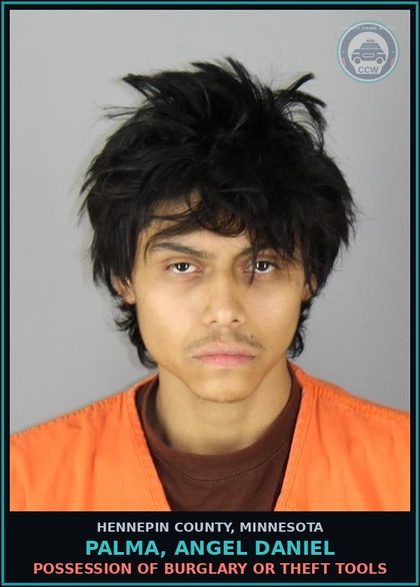 CCW arrest card for PALMA, ANGEL DANIEL in Hennepin County: MAIL THEFT