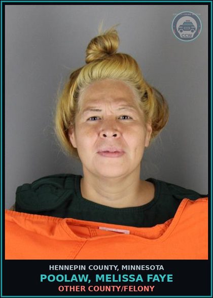 CCW arrest card for POOLAW, MELISSA FAYE in Hennepin County: THEFT-TAKE/USE/TRANSFER MOVABLE PROP-NO CONSENT