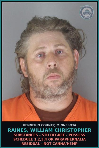 CCW arrest card for RAINES, WILLIAM CHRISTOPHER in Hennepin County: DRUGS - 5TH DEGREE - POSSESS SCHEDULE 1,2,3,4 OR PARAPHERNALIA RESIDUAL - NOT Canna/HEMP