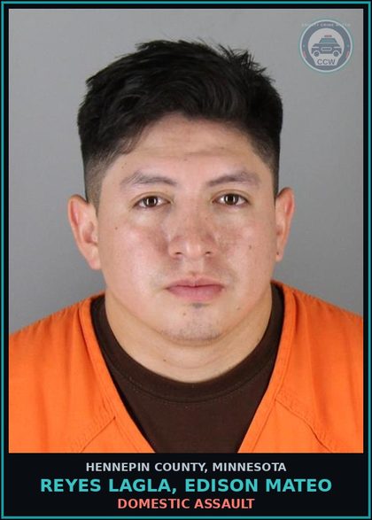 CCW arrest card for REYES LAGLA, EDISON MATEO in Hennepin County: DOMESTIC ASSAULT