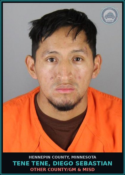 CCW arrest card for TENE TENE, DIEGO SEBASTIAN in Hennepin County: OTHER COUNTY/GM & MISD