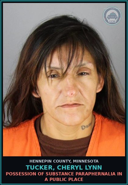 CCW arrest card for TUCKER, CHERYL LYNN in Hennepin County: RECEIVING/CONCEALING STOLEN PROPERTY
