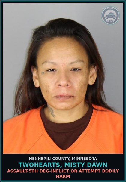 CCW arrest card for TWOHEARTS, MISTY DAWN in Hennepin County: ASSAULT-5TH DEG-INFLICT OR ATTEMPT BODILY HARM