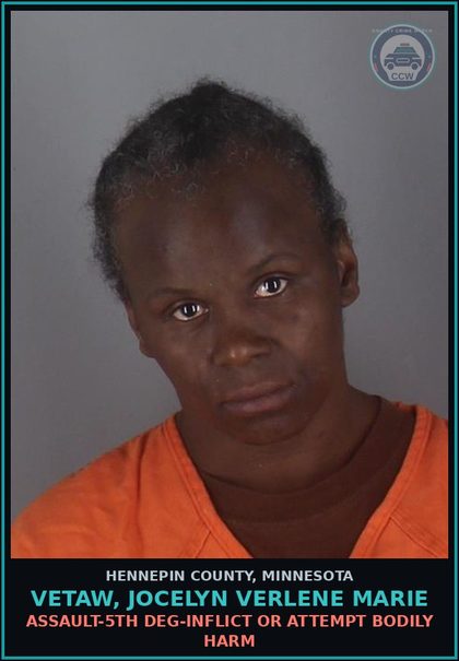 CCW arrest card for VETAW, JOCELYN VERLENE MARIE in Hennepin County: DISORDERLY CONDUCT - BRAWLING OR FIGHTING