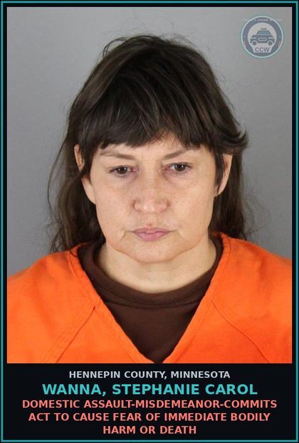 CCW arrest card for WANNA, STEPHANIE CAROL in Hennepin County: DOMESTIC ASSAULT-MISDEMEANOR-COMMITS ACT TO CAUSE FEAR OF IMMEDIATE BODILY HARM OR DEATH