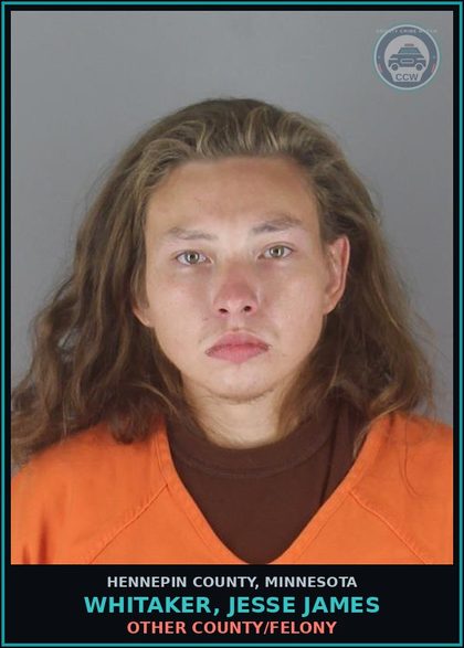 CCW arrest card for WHITAKER, JESSE JAMES in Hennepin County: THEFT-TAKE/USE/TRANSFER MOVABLE PROP-NO CONSENT