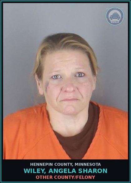 CCW arrest card for WILEY, ANGELA SHARON in Hennepin County: NEGLECT OF A chld-RESULTS SUBST. HARM PHYSICAL/EMOT HEALTH-F