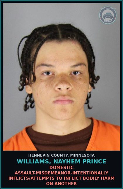 CCW arrest card for WILLIAMS, NAYHEM PRINCE in Hennepin County: DOMESTIC ASSAULT-MISDEMEANOR-INTENTIONALLY INFLICTS/ATTEMPTS TO INFLICT BODILY HARM ON ANOTHER