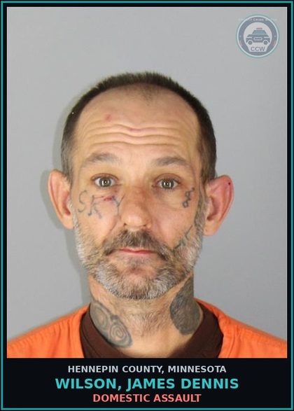 CCW arrest card for WILSON, JAMES DENNIS in Hennepin County: DOMESTIC ASSAULT