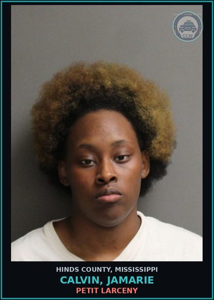 CCW arrest card for Calvin, Jamarie in Hinds County: SIMPLE DOMESTIC VIOLENCE