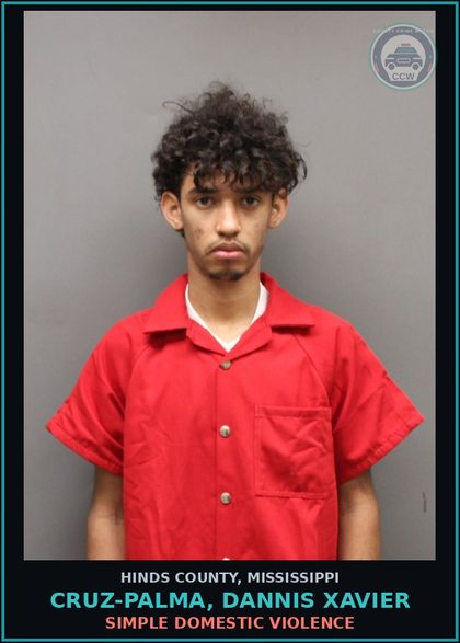 CCW arrest card for Cruz-Palma, Dannis Xavier in Hinds County: SIMPLE DOMESTIC VIOLENCE