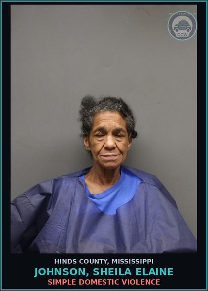CCW arrest card for Johnson, Sheila Elaine in Hinds County: SIMPLE DOMESTIC VIOLENCE