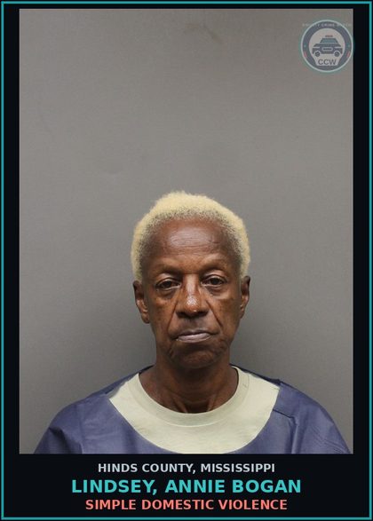CCW arrest card for Lindsey, Annie Bogan in Hinds County: SIMPLE DOMESTIC VIOLENCE