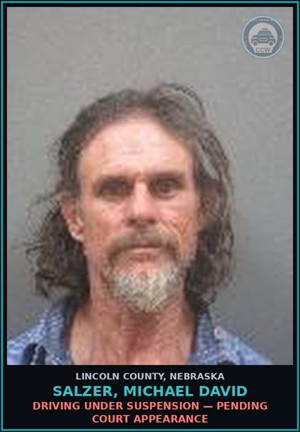 CCW arrest card for Salzer, Michael David in Lincoln County: DRIVING UNDER SUSPENSION — Pending Court Appearance