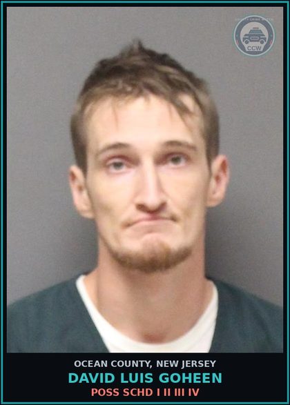 CCW arrest card for DAVID LUIS GOHEEN in Ocean County: POSS SCHD I II III IV