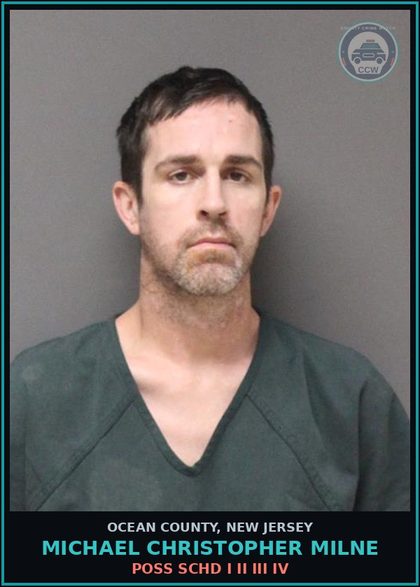 CCW arrest card for MICHAEL CHRISTOPHER MILNE in Ocean County: THEFT BY DECEPTION