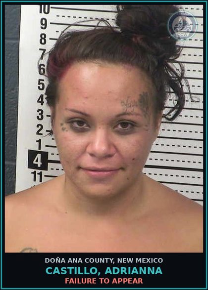 CCW arrest card for Castillo, Adrianna in Doña Ana County: Failure to Appear