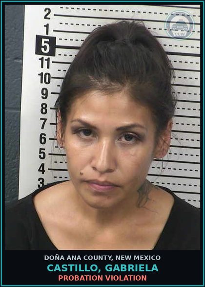 CCW arrest card for Castillo, Gabriela in Doña Ana County: PROBATION VIOLATION