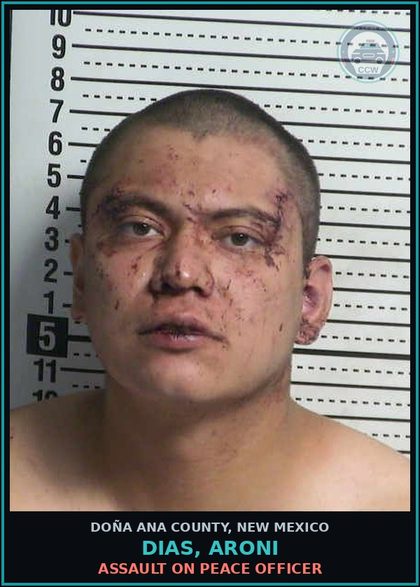 CCW arrest card for Dias, Aroni in Doña Ana County: Criminal Trespass