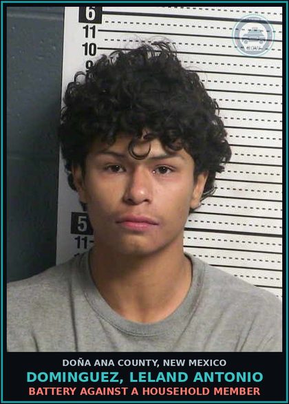 CCW arrest card for Dominguez, Leland Antonio in Doña Ana County: Battery Against A Household Member