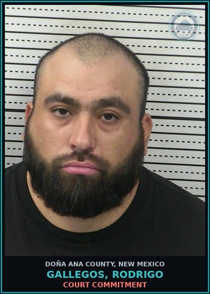 CCW arrest card for Gallegos, Rodrigo in Doña Ana County: Court Commitment