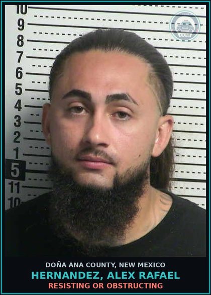 CCW arrest card for Hernandez, Alex Rafael in Doña Ana County: DRIVING WHILE LICENSE SUSPENDED