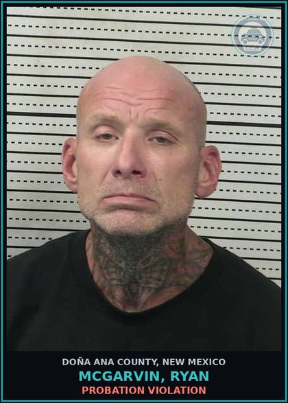 CCW arrest card for Mcgarvin, Ryan in Doña Ana County: PROBATION VIOLATION
