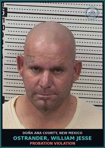 CCW arrest card for Ostrander, William Jesse in Doña Ana County: PROBATION VIOLATION