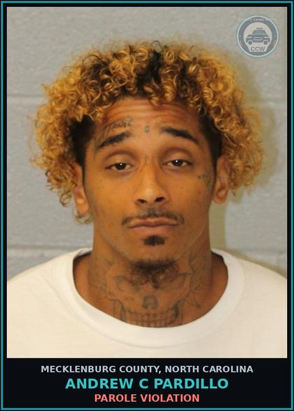 CCW arrest card for ANDREW C PARDILLO in Mecklenburg County: Parole Violation