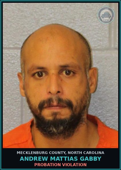 CCW arrest card for ANDREW MATTIAS GABBY in Mecklenburg County: PROBATION VIOLATION