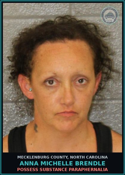 CCW arrest card for ANNA MICHELLE BRENDLE in Mecklenburg County: POSSESS DRUG PARAPHERNALIA