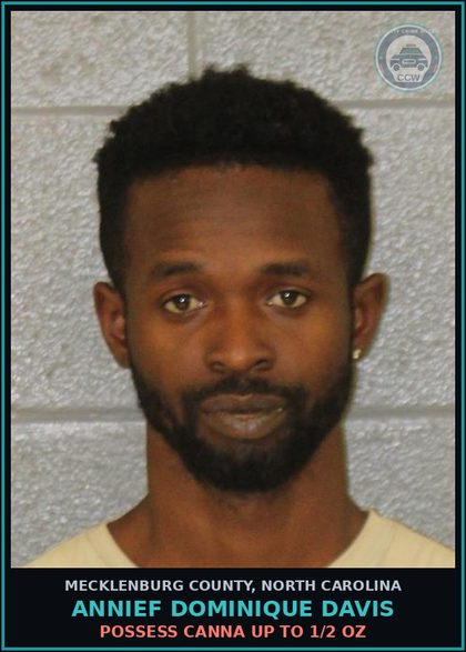 CCW arrest card for ANNIEF DOMINIQUE DAVIS in Mecklenburg County: POSSESS Canna UP TO 1/2 OZ
