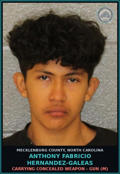 CCW arrest card for ANTHONY FABRICIO HERNANDEZ-GALEAS in Mecklenburg County: CARRYING CONCEALED WEAPON - GUN (M)