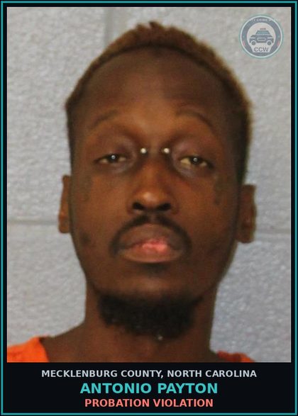 CCW arrest card for ANTONIO PAYTON in Mecklenburg County: Probation Violation