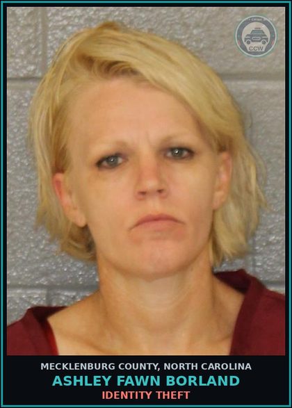 CCW arrest card for ASHLEY FAWN BORLAND in Mecklenburg County: IDENTITY THEFT