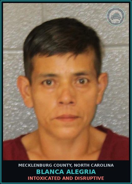 CCW arrest card for BLANCA ALEGRIA in Mecklenburg County: INTOXICATED AND DISRUPTIVE
