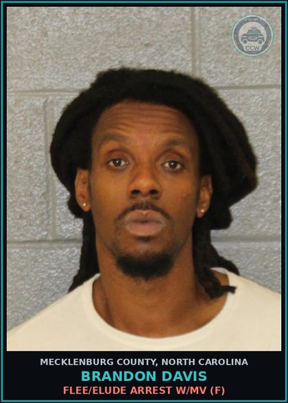 CCW arrest card for BRANDON DAVIS in Mecklenburg County: FLEE/ELUDE ARREST W/MV (F)