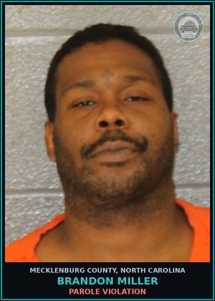 CCW arrest card for BRANDON MILLER in Mecklenburg County: Parole Violation