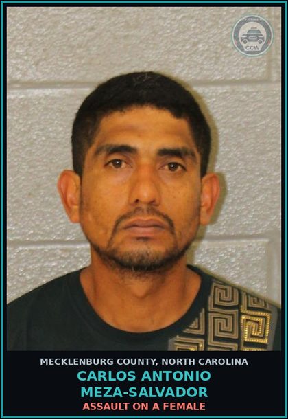 CCW arrest card for CARLOS ANTONIO MEZA-SALVADOR in Mecklenburg County: ASSAULT ON A FEMALE