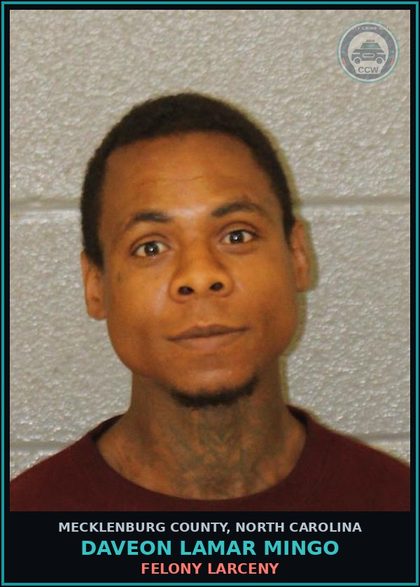 CCW arrest card for DAVEON LAMAR MINGO in Mecklenburg County: FELONY LARCENY