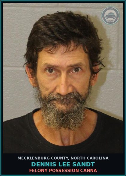 CCW arrest card for DENNIS LEE SANDT in Mecklenburg County: DWLR IMPAIRED REV