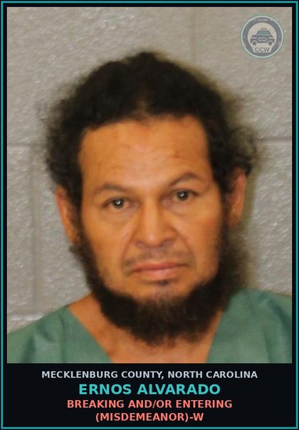 CCW arrest card for ERNOS ALVARADO in Mecklenburg County: INJURY TO PERSONAL PROPERTY