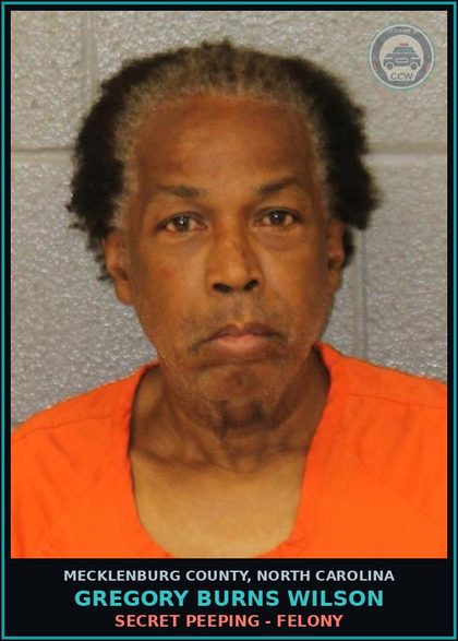 CCW arrest card for GREGORY BURNS WILSON in Mecklenburg County: SECRET PEEPING - FELONY