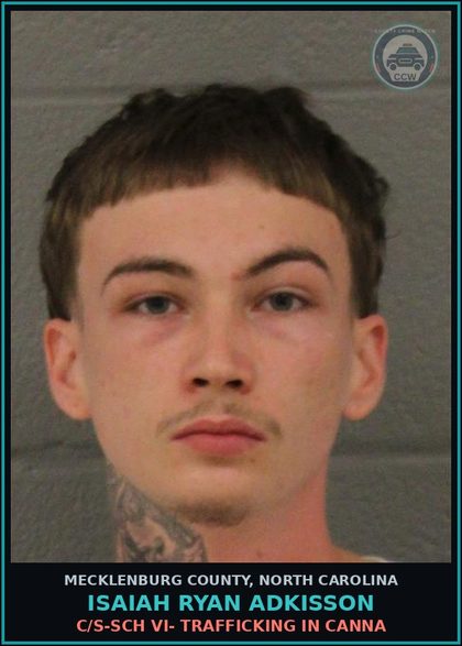 CCW arrest card for ISAIAH RYAN ADKISSON in Mecklenburg County: C/S-SCH VI- TRAFFICKING IN Canna