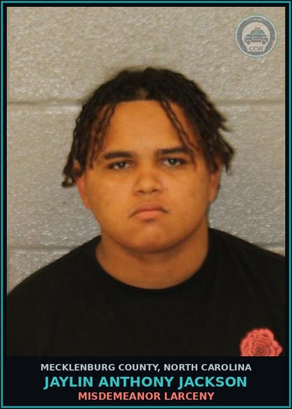 CCW arrest card for JAYLIN ANTHONY JACKSON in Mecklenburg County: MISDEMEANOR LARCENY